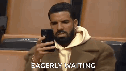 Bearded Man On Phone In Stadium GIF