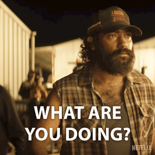 Bearded Man Plaid Shirt Hat Says What Are You Doing