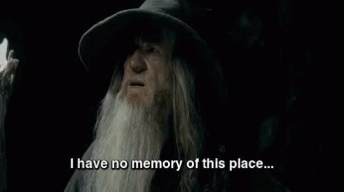 Bearded Man Saying No Memory Of This Place GIF