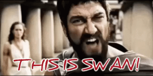 Bearded Man Says This Is Swan To Woman In White Dress GIF