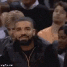 Bearded Man Sitting in Crowd Watching Game