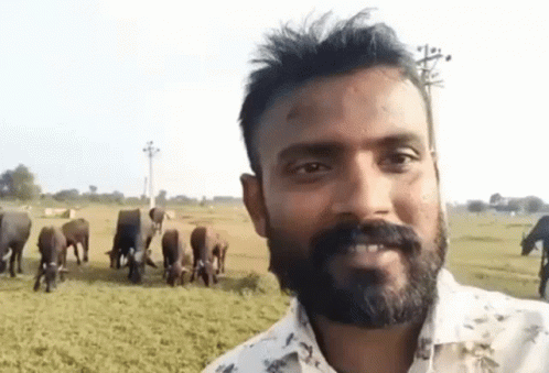 Bearded Man Smiling in Front of Herd of Cows