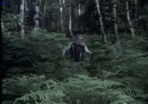 Bearded Man Standing In Forest GIF
