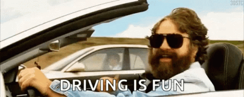 Bearded Man Sunglasses Driving Car Saying Driving Is Fun