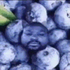 Bearded Man Surrounded by Blueberries