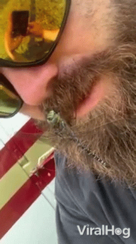 Bearded Man Wearing Sunglasses Taking Selfie GIF