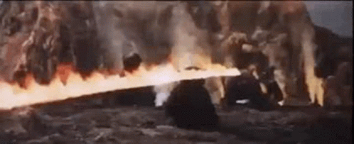 Bears Kill It With Fire GIF