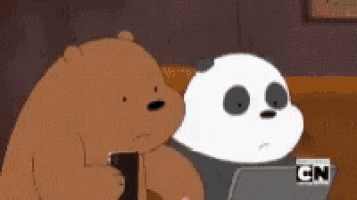 Bears Panda Gif GIF