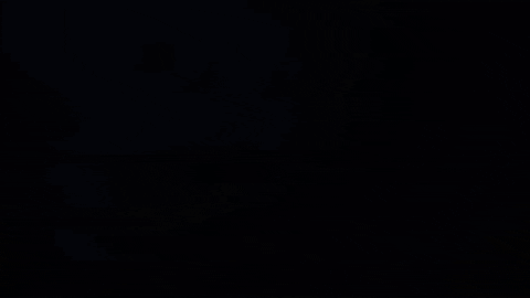 Beast Mode Running Nova Sound GIF