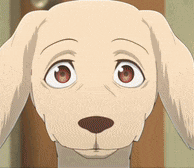 Beastars Dog Gif GIF