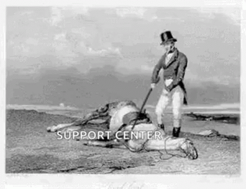 Beat A Dead Horse Support Center GIF