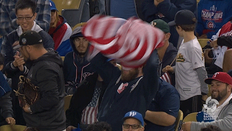 Beat La Excited Fan Waving Usa Flag GIF