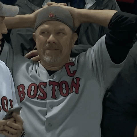 Beat La Frustrated Boston Fan GIF