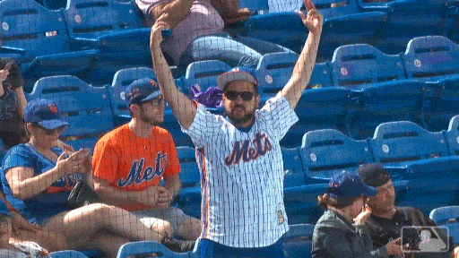 Beat La Mets Follower Rallying Crowd GIF