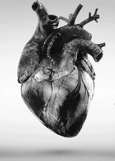 Beating Heart Real Pumping Black And White GIF