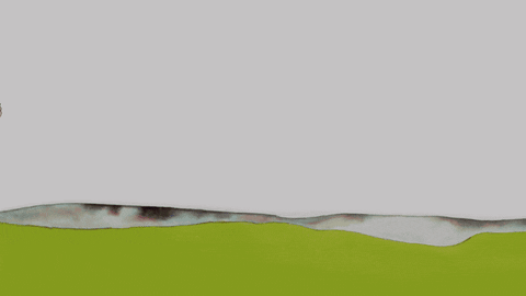 Beatles Band Spreading Love Animation GIF