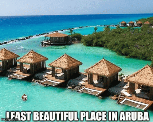 Beautiful Aruba Beach With Thatched Huts GIF
