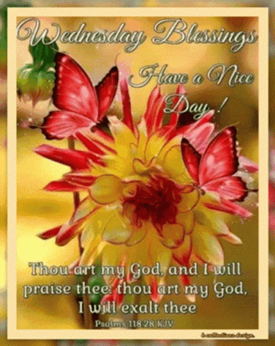 Beautiful Blessings Happy Wednesday Have A Nice Day GIF