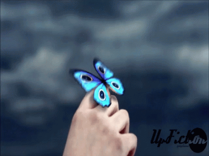 Beautiful Blue Flying Butterfly Hand GIF