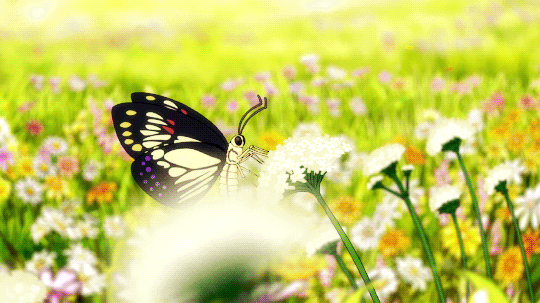 Beautiful Butterfly Anime Scenery GIF