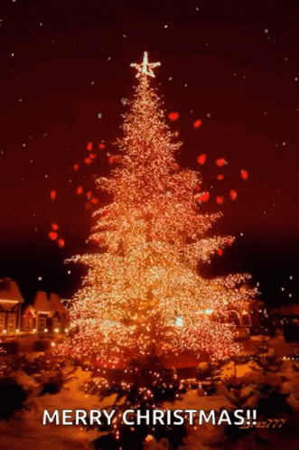 Beautiful Christmas Fire-y Tree GIF