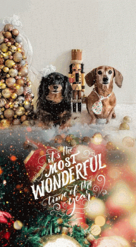 Beautiful Christmas Dogs And Tree GIF