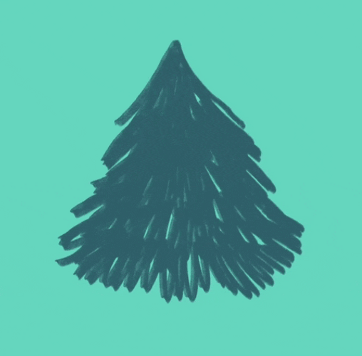 Beautiful Christmas Lights Merry Christmas GIF