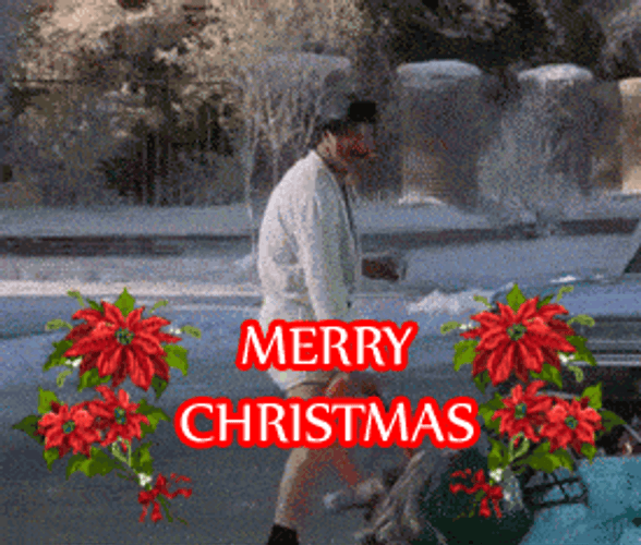Beautiful Christmas Morning Merry Christmas GIF