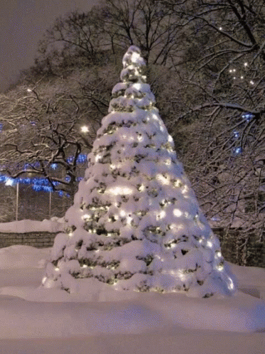Beautiful Christmas Tree Covered In Snow GIF