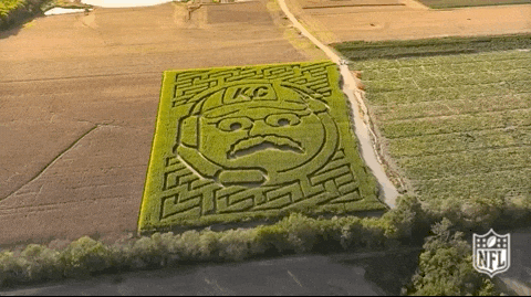 Beautiful Crop Maze GIF