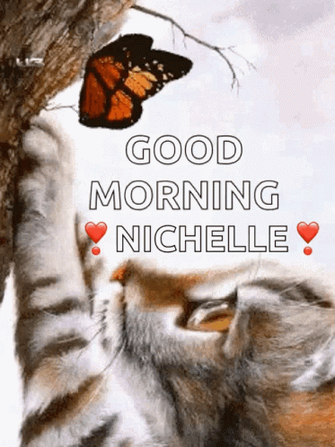Beautiful Cute Good Morning Nichelle GIF
