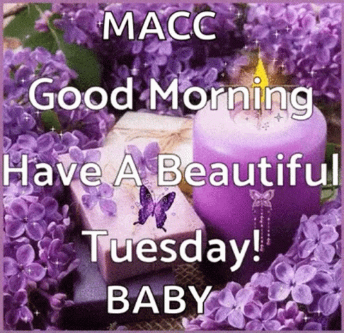 Beautiful Cute Good Morning Tuesday GIF