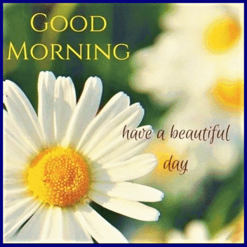 Beautiful Cute Good Morning Flowers GIF