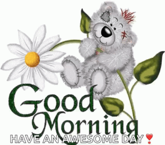 Beautiful Cute Good Morning Bear GIF
