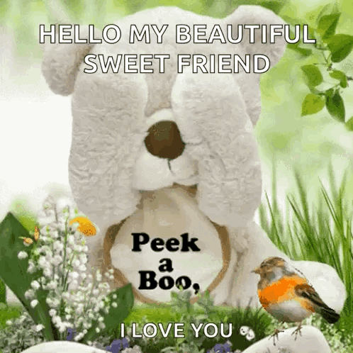 Beautiful Cute Good Morning Bear GIF