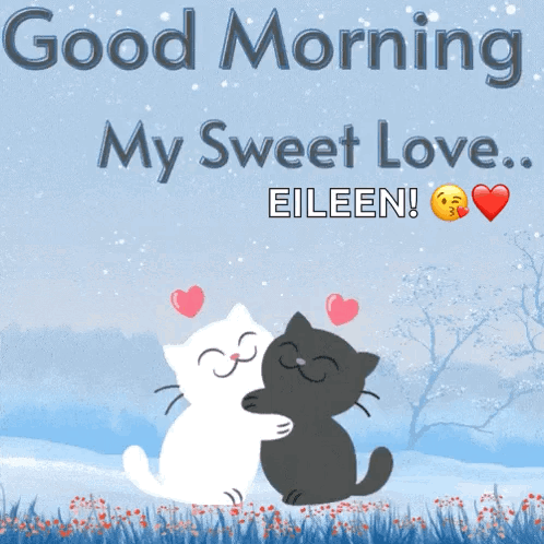 Beautiful Cute Good Morning Couple Cat GIF