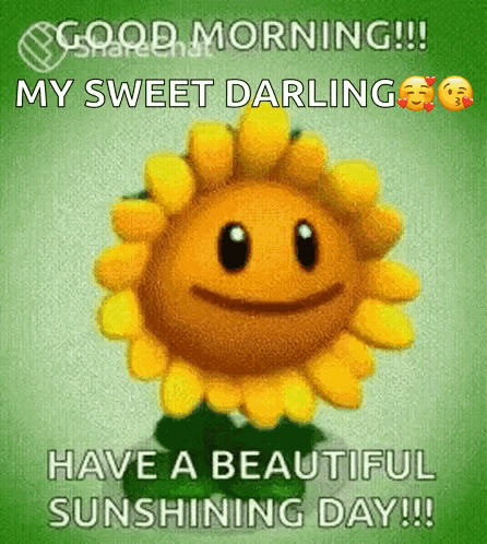Beautiful Cute Good Morning Glowing Sunflower GIF