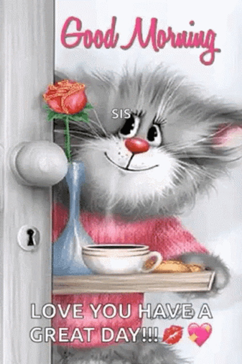 Beautiful Cute Good Morning Gray Cat GIF