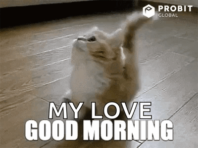 Beautiful Cute Good Morning My Love GIF