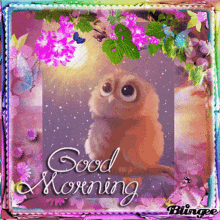 Beautiful Cute Good Morning Owl GIF