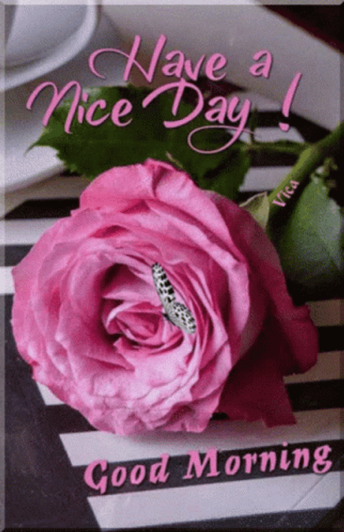 Beautiful Cute Good Morning Pink Rose GIF