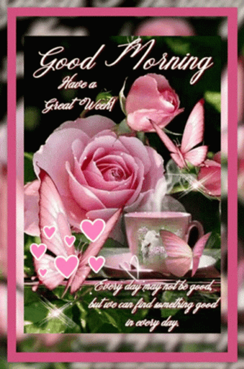 Beautiful Cute Good Morning Rose GIF