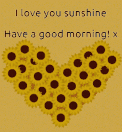 Beautiful Cute Good Morning Sunflower GIF