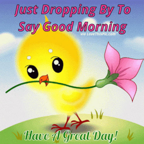Beautiful Cute Good Morning Yellow Chick GIF