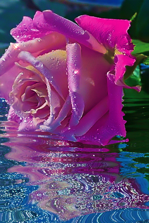 pink crystal flowers  Lovely flowers wallpaper, Beautiful gif