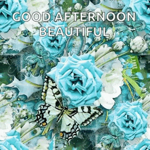 Beautiful Good Afternoon Aqua Blue Flowers GIF