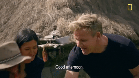 Beautiful Good Afternoon Gordon Ramsey GIF