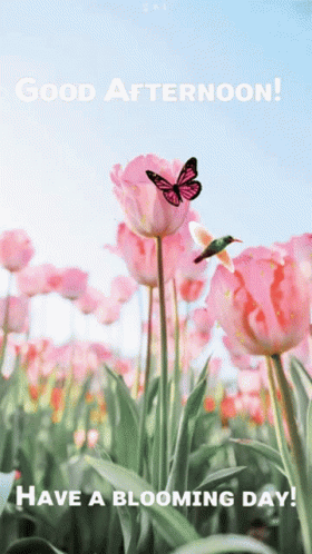 Beautiful Good Afternoon Spring Flowers GIF