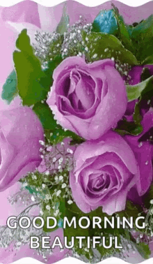 Beautiful Good Morning Glowing Purple Flowers GIF