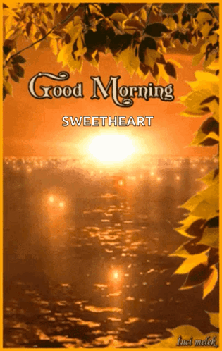 Beautiful Good Morning Golden Hour GIF